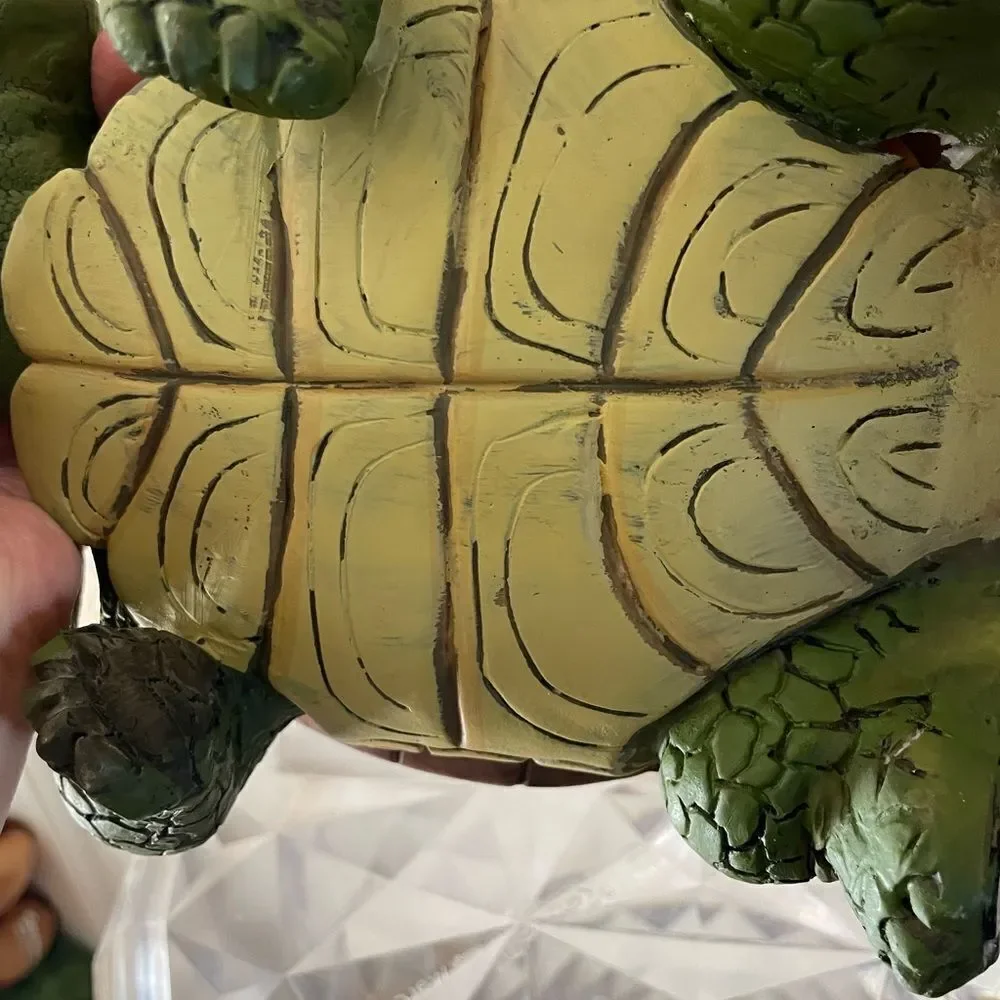 Turtle with riding Gnome from Australia 2011